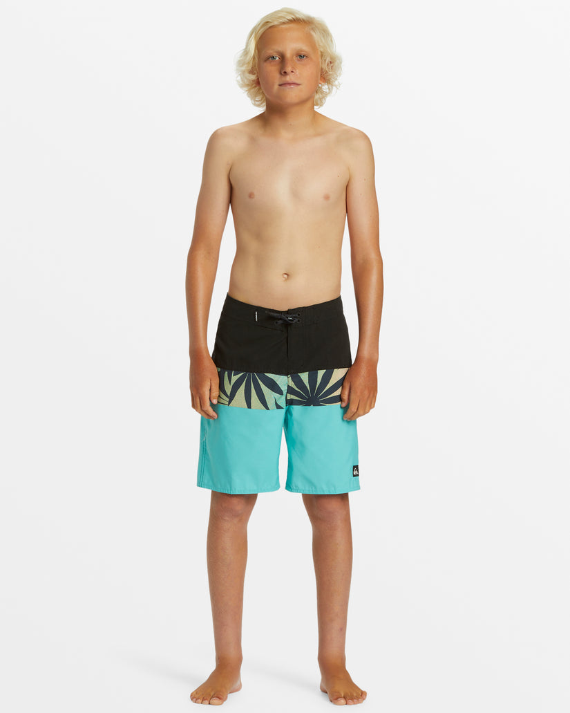 Boys 8-16 Everyday Panel 17" Boardshorts -