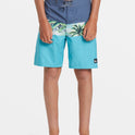 Boys 8-16 Everyday Panel 17" Boardshorts - Maui Blue