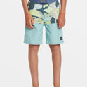 Boys 8-16 Everyday Division 17" Boardshorts - Aquifer