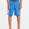 Boys 8-16 Everyday Holmes 17" Boardshorts - Nebulas Blue