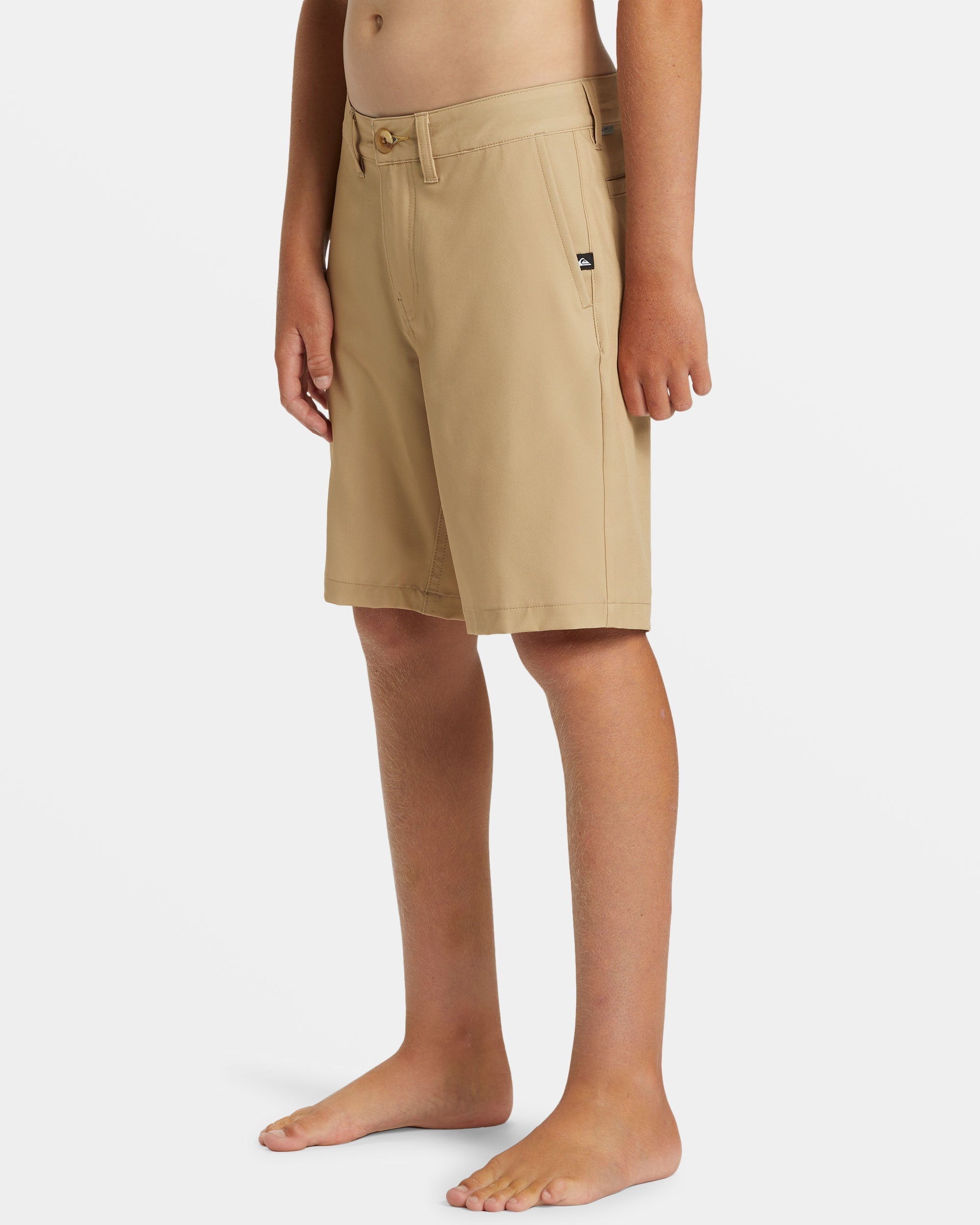 Quiksilver amphibian shorts boys online