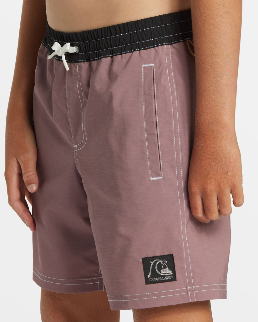 Boys 8-16 Original Straight Leg 15" Swim Trunks - Grape Shake