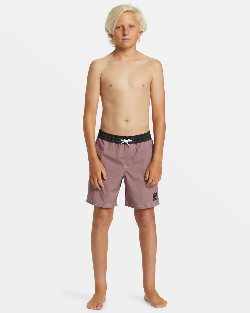 Boys 8-16 Original Straight Leg 15" Swim Trunks - Grape Shake