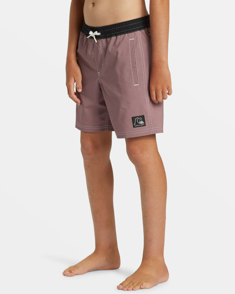 Boys 8-16 Original Straight Leg 15" Swim Trunks - Grape Shake