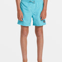 Boys 8-16 Everyday Solid 14" Swim Trunks - Maui Blue