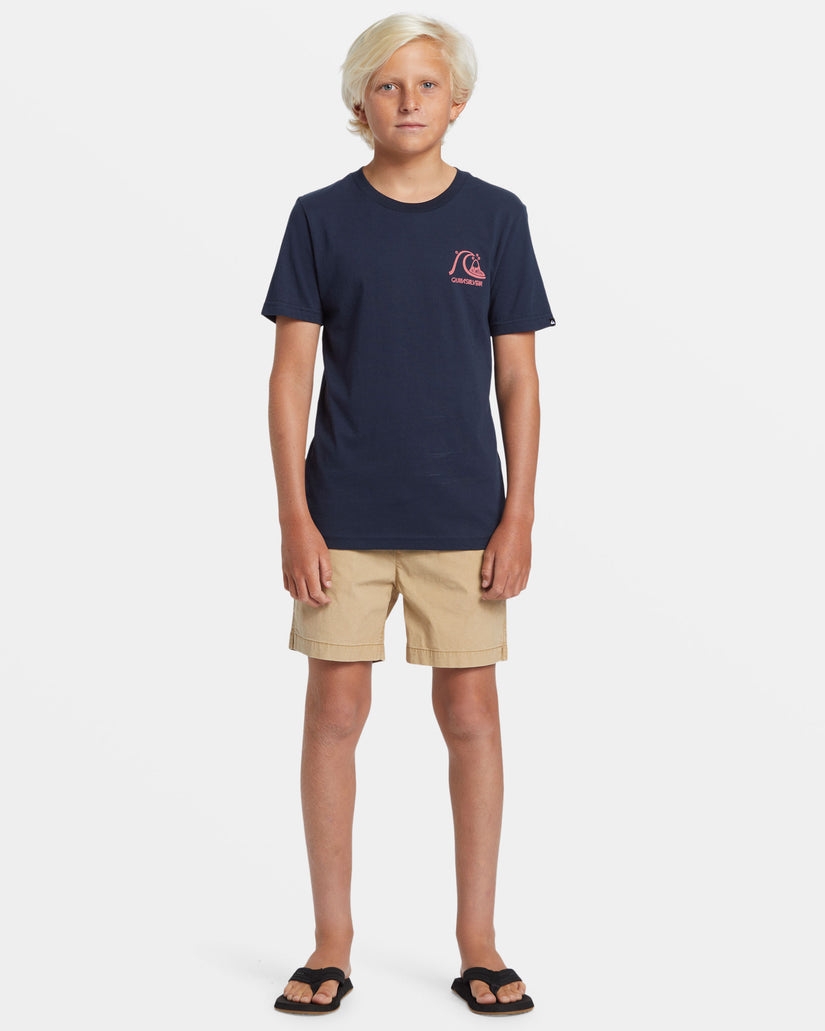 Boys 8-16 Taxer Shorts – Quiksilver