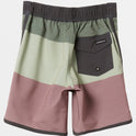 Boys 2-7 Surfsilk Tijuana 13" Boardshorts - Grape Shake