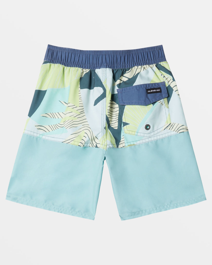 Boys 2-7 Everyday Division 13" Boardshorts - Aquifer