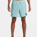 Original Arch 17" Swim Trunks - Aquifer