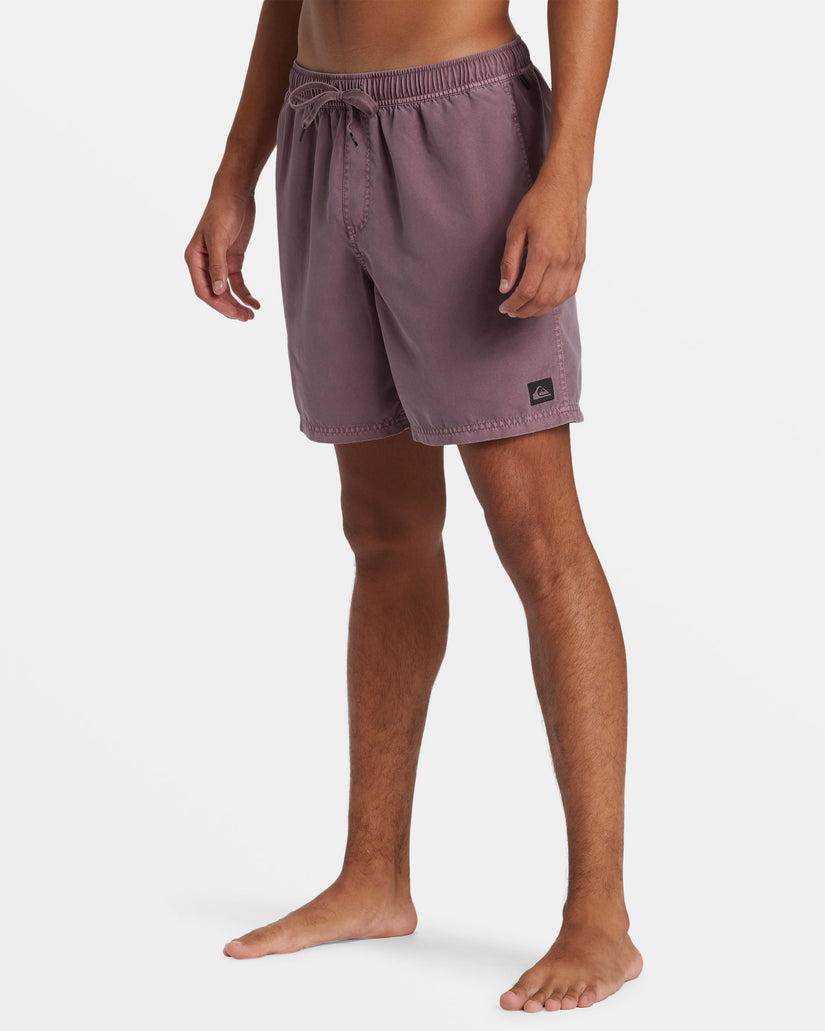 Everyday Surfwash 17" Swim Trunks - Grape Shake