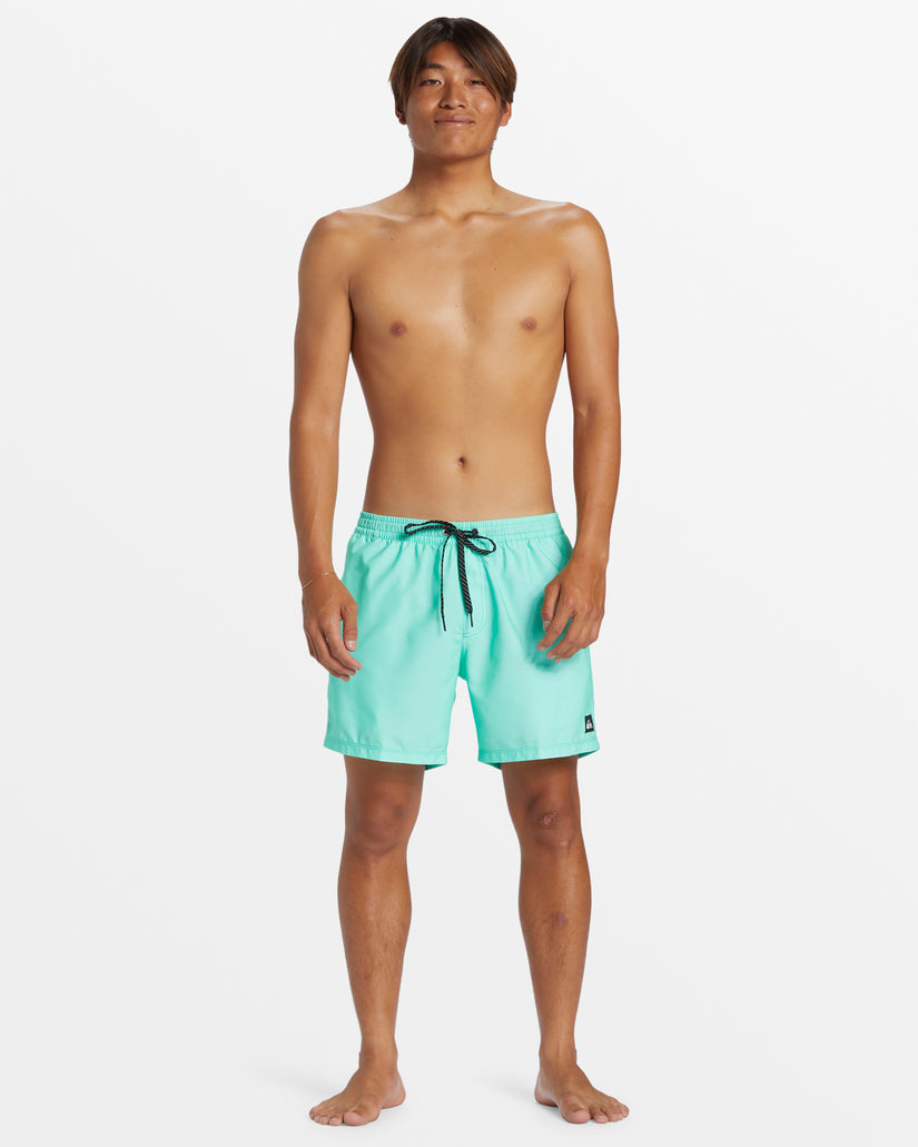 Everyday Solid 15" Swim Trunks - Beveled Glass