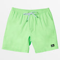 Everyday Solid 15" Swim Trunks - Green Gecko