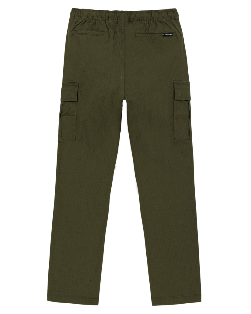 Boys 8-16 DNA Beach Cargo Pants - Grape Leaf