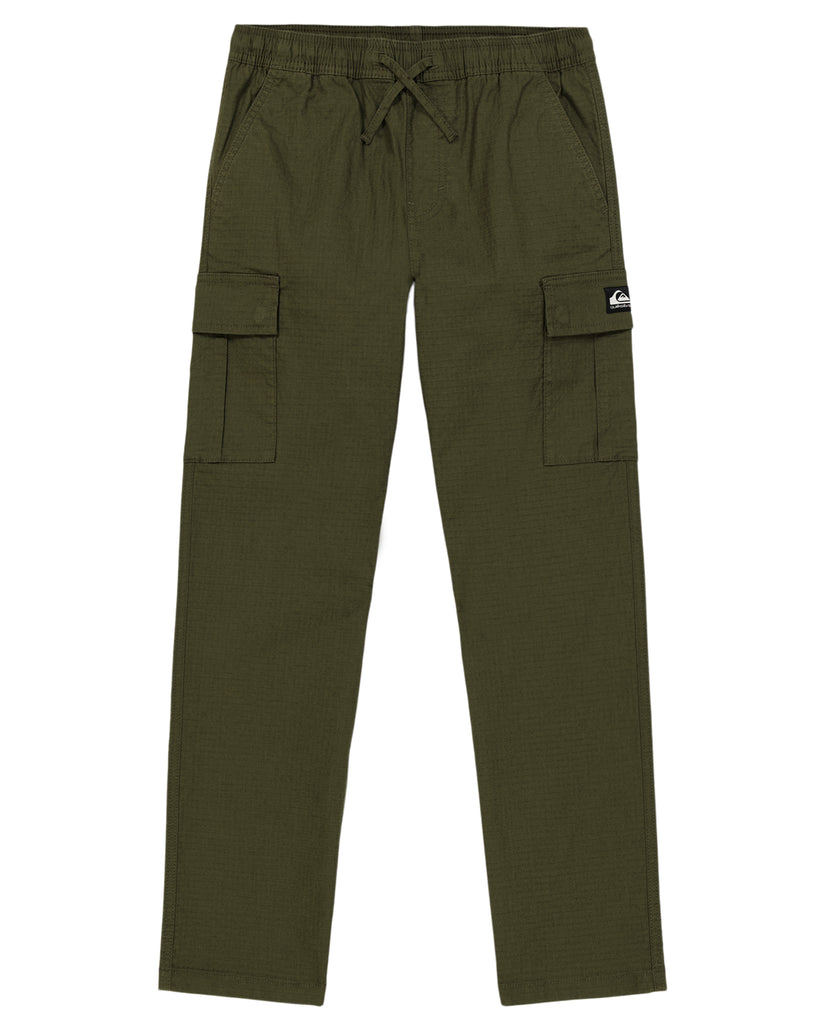 Boys 8-16 DNA Beach Cargo Pants - Grape Leaf