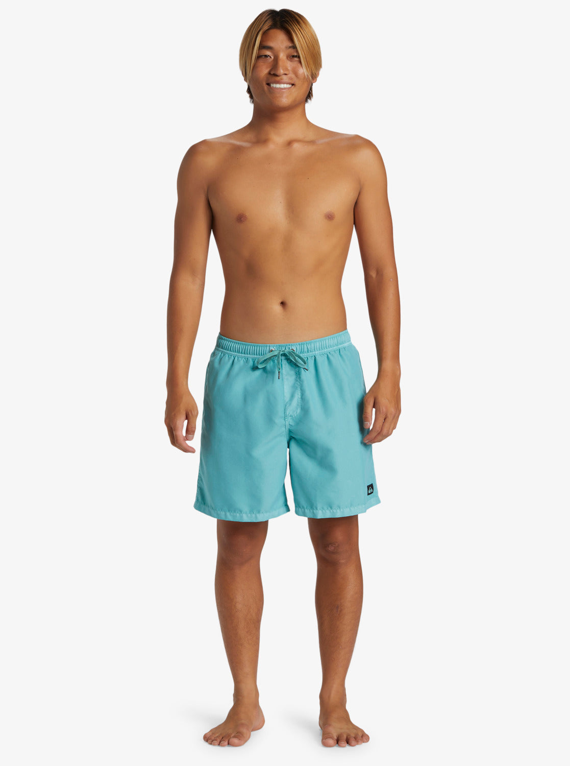 Quiksilver everyday sale volley shorts