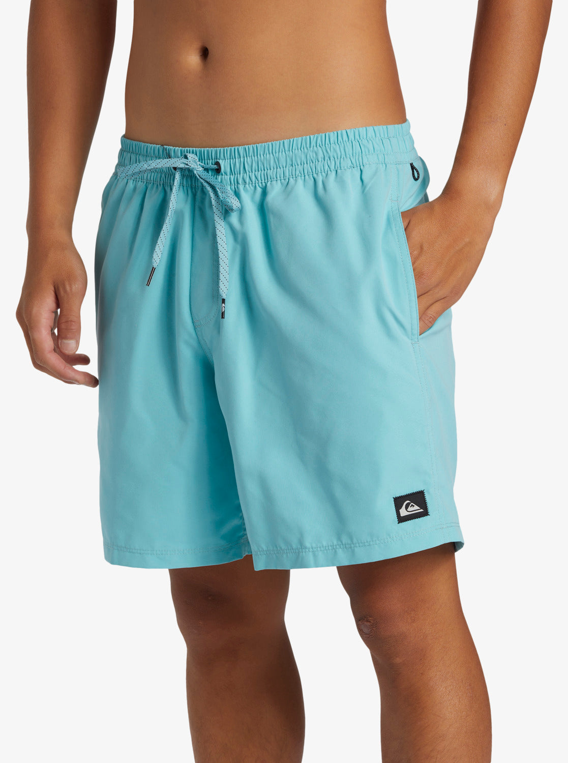 Quicksilver volley short on sale